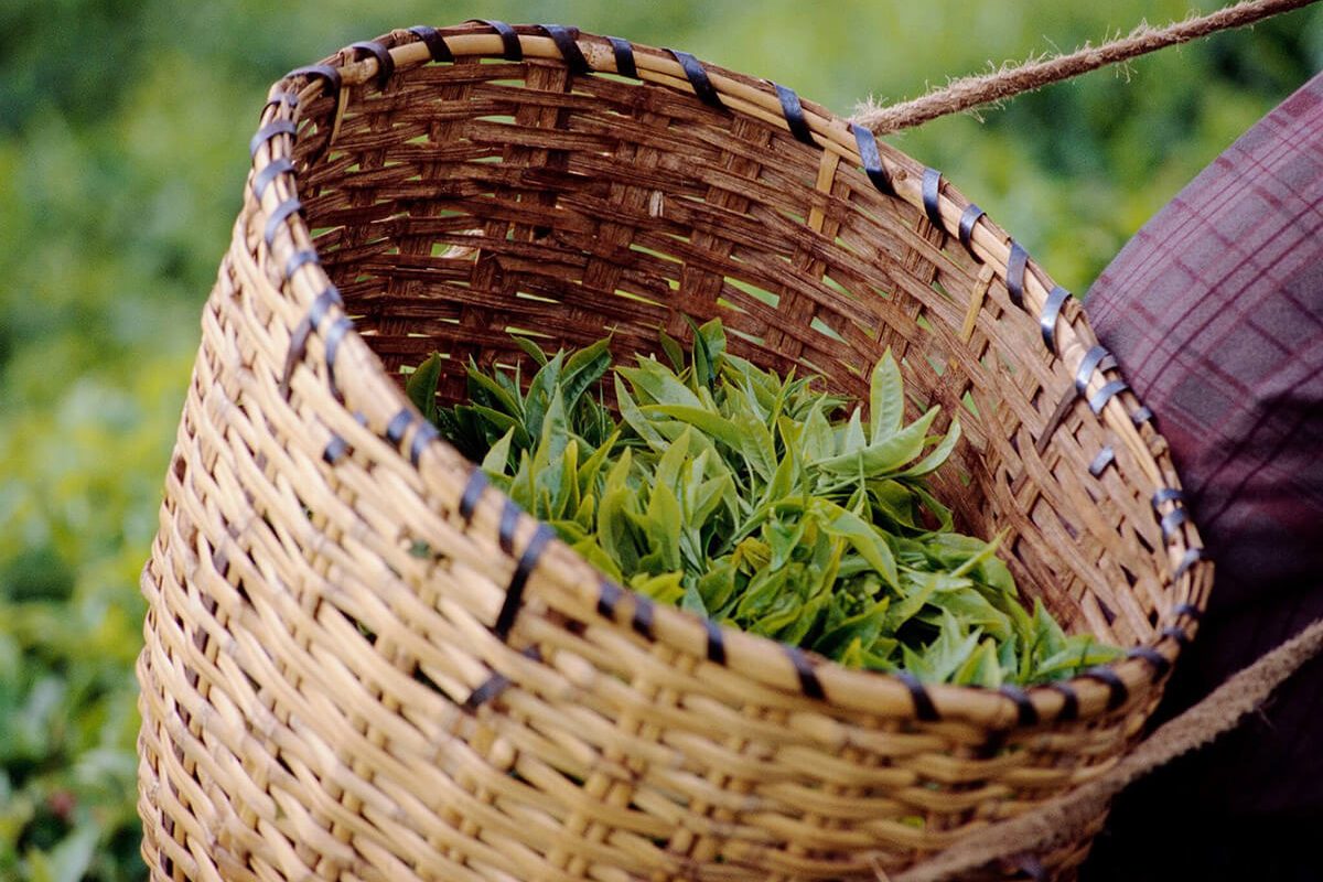 Kenya budget safaris - Real Outreach Mission Tours